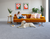 Apollo Elite Carpet By Cormar