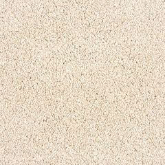 Balta Heritage Luxury and Stripes Carpet