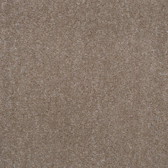 Balta Super Twist Carpet