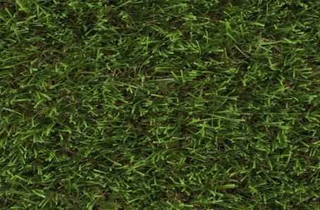 Artificial Grass