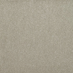 Balta Addiction Carpet