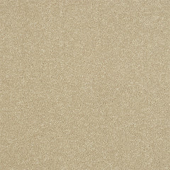 Staifree Ultra Carpet by Abingdon
