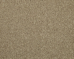 Apollo Elite Carpet By Cormar