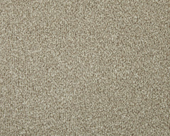 Apollo Elite Carpet By Cormar