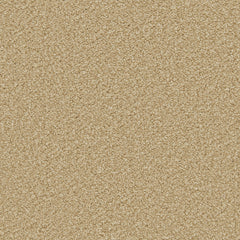 Apollo Plus Carpet By Cormar