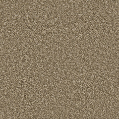 Apollo Plus Carpet By Cormar