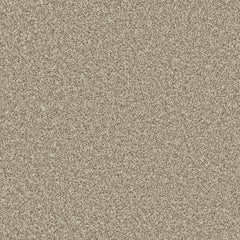 Apollo Plus Carpet By Cormar