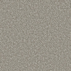 Apollo Plus Carpet By Cormar