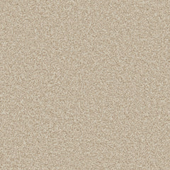 Apollo Plus Carpet By Cormar