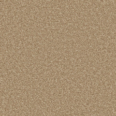 Apollo Plus Carpet By Cormar