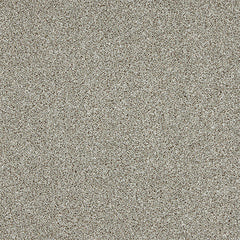 Stainfree Knightsbridge Berber by Abingdon