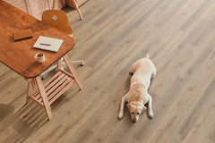 Balta Aspire LVT Plank Carpet