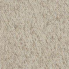Stainfree Country Weave Carpet by Abingdon
