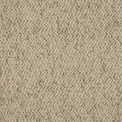 Stainfree Country Weave Carpet by Abingdon