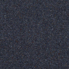 Charter Berber Deluxe Wilton Royal Carpet by Abingdon