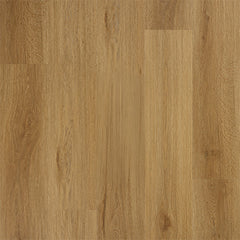 Simply Smooth Eminence Dryback LVT by Abingdon