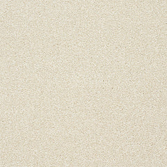 Stainfree Twist Carpet by Abingdon