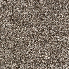 Staifree Rustique Saxony by Abingdon