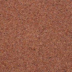 Charter Berber Deluxe Wilton Royal Carpet by Abingdon