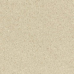 Stainfree Sophisticat by Abingdon