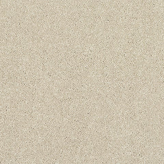 Stainfree Finesse Carpet by Abingdon