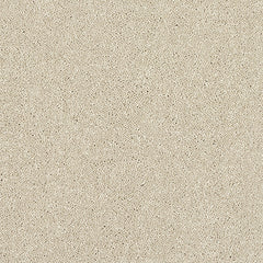 Stainfree Caress Carpet by Abingdon
