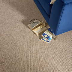 Stainfree Country Linear  Carpet by Abingdon