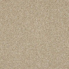 Stainfree Knightsbridge Berber by Abingdon