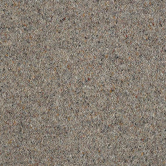 Charter Berber Deluxe Wilton Royal Carpet by Abingdon