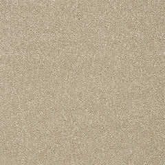 Stainfree Twist Carpet by Abingdon