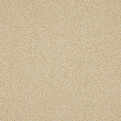 Stainfree Knightsbridge Berber by Abingdon