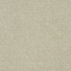 Stainfree Twist Carpet by Abingdon