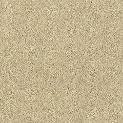 Royal Charter Deluxe Wilton Royal Carpet by Abingdon