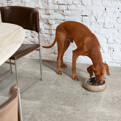 Dusky Bluestone Laminate Flooring (MUS5485) By Quick Step