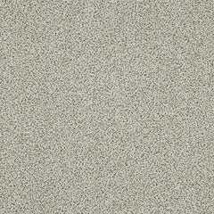 Stainfree Knightsbridge Berber by Abingdon