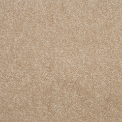 Balta Eclipse Carpet
