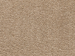 Balta Endless Charm Carpet