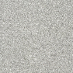 Stainfree Twist Carpet by Abingdon
