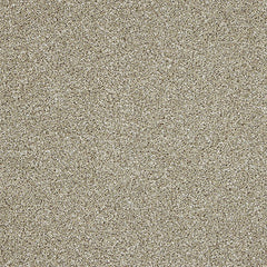 Stainfree Knightsbridge Berber by Abingdon