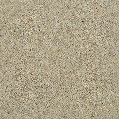Charter Berber Deluxe Wilton Royal Carpet by Abingdon