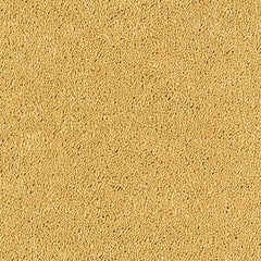 Stainfree Sophisticat by Abingdon