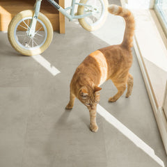 Grey Concrete Laminate Flooring (MUS5488) By Quick Step