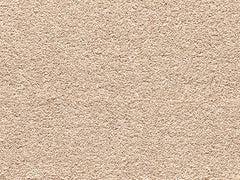 Balta Heritage Exquisite Carpet
