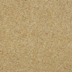 Charter Berber Deluxe Wilton Royal Carpet by Abingdon