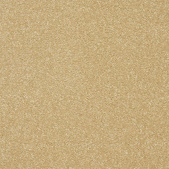 Stainfree Twist Carpet by Abingdon