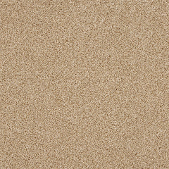 Stainfree Knightsbridge Berber by Abingdon