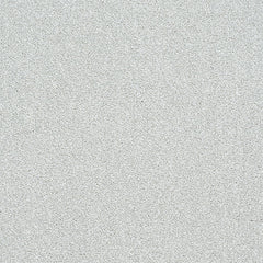 Stainfree Twist Carpet by Abingdon