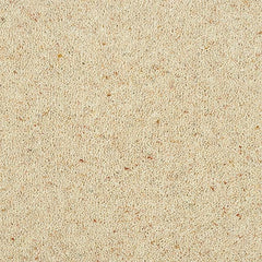 Charter Berber Deluxe Wilton Royal Carpet by Abingdon