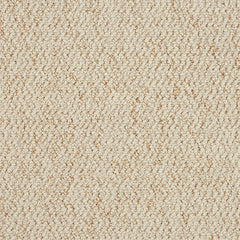 Stainfree Country Weave Carpet by Abingdon