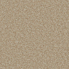 Kingston Elite Carpet By Cormar